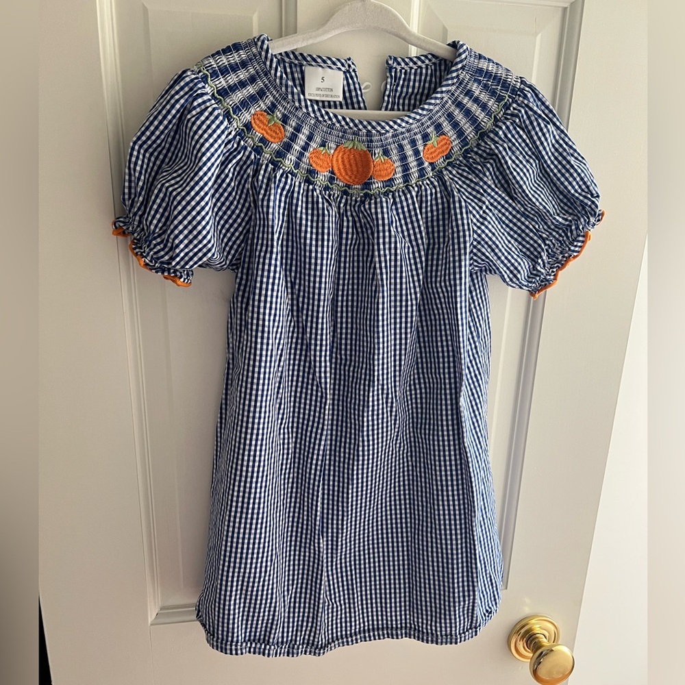 Blue Gingham Dress with Pumpkin Embroidery